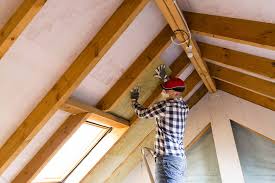 Best Attic Insulation Installation  in Elkhorn, WI