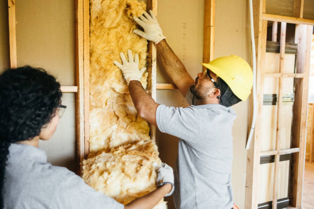 Best Eco-Friendly or Green Insulation Solutions  in Elkhorn, WI