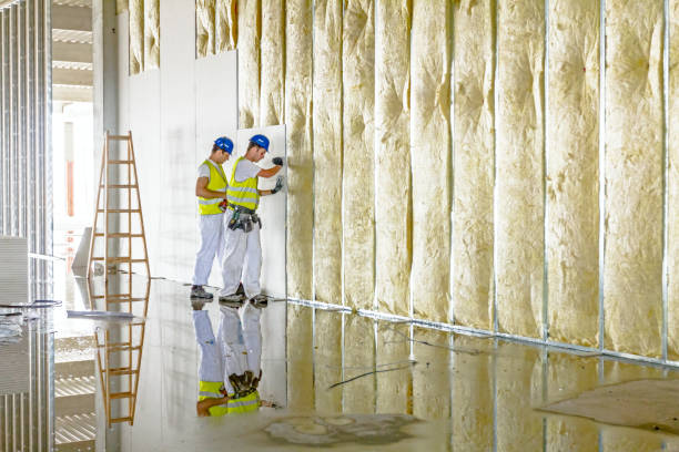 Best Attic Insulation Installation  in Elkhorn, WI